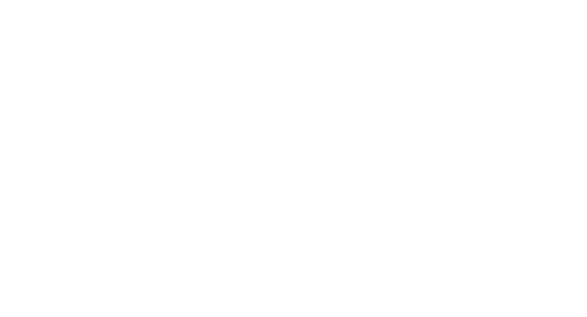 AIG American International Group, Inc.